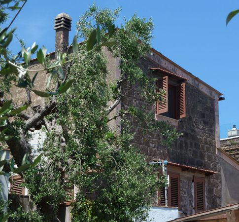 International Art Retreats Image